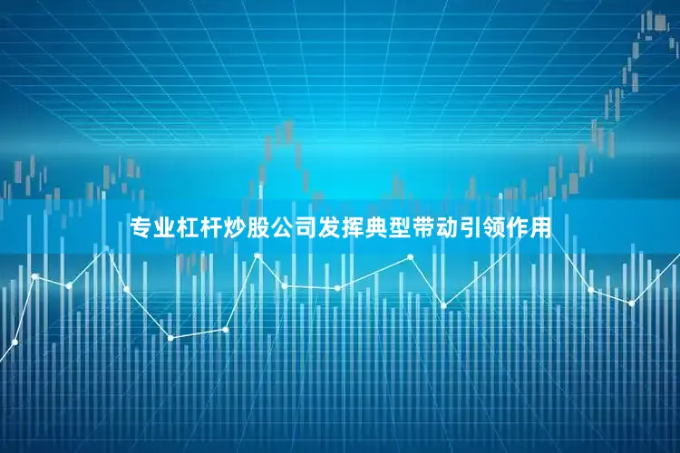 专业杠杆炒股公司发挥典型带动引领作用