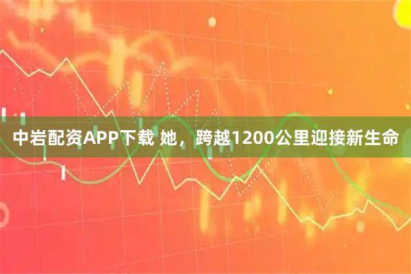 中岩配资APP下载 她，跨越1200公里迎接新生命